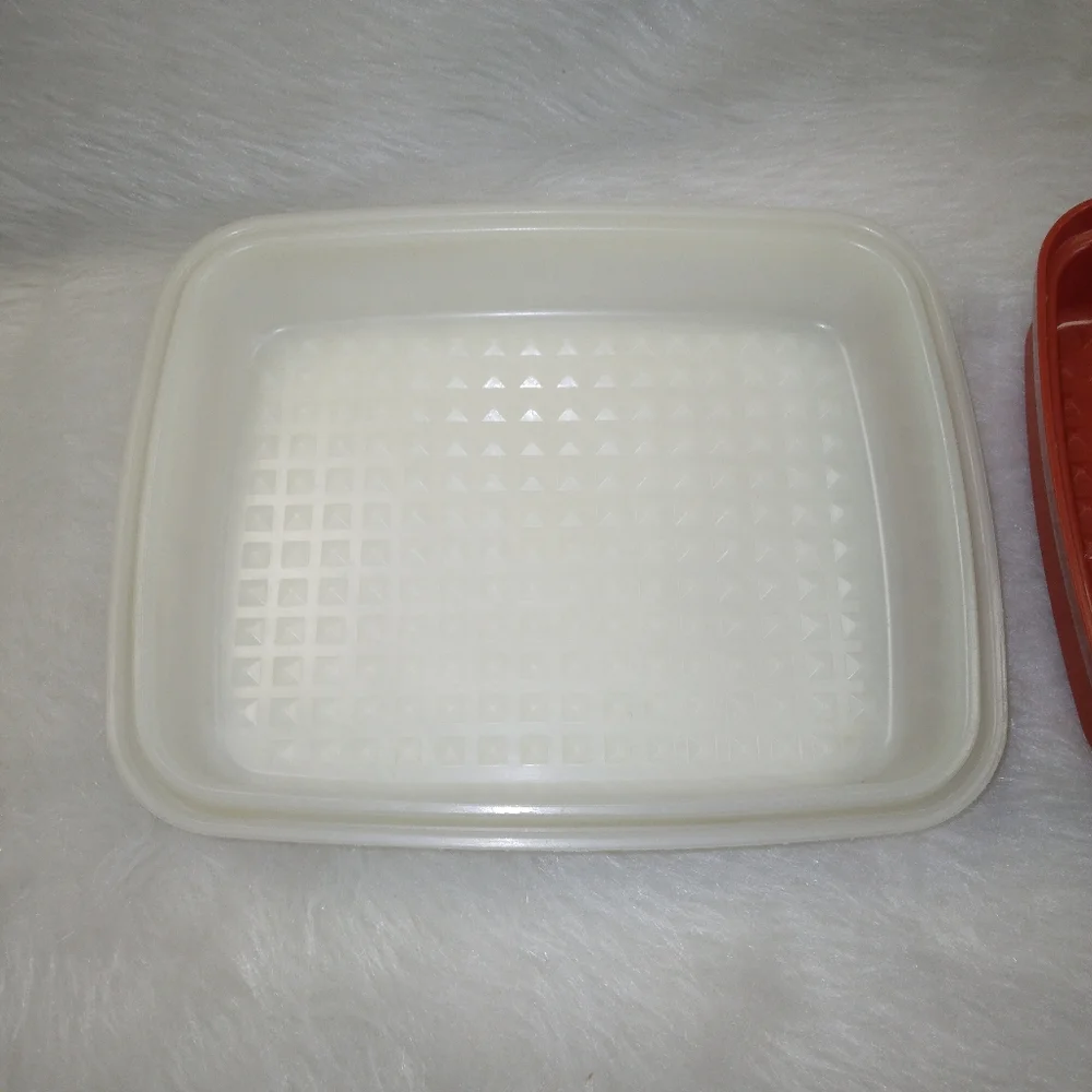 TUPPERWARE 1518-3 Season Serve meat Marinator